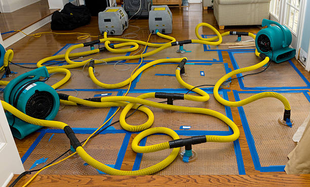 Professional Crawl Space Water Removal technician working in Mabank, TX